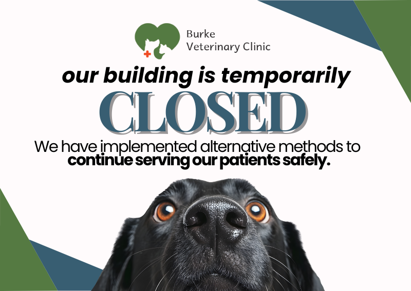 Carousel Slide 1: Learn More >>