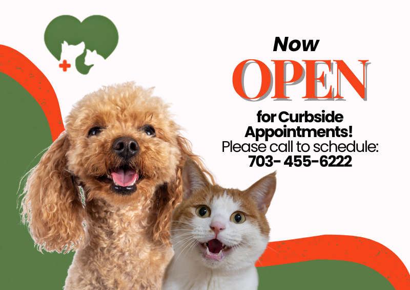 Carousel Slide 1: Learn More >>