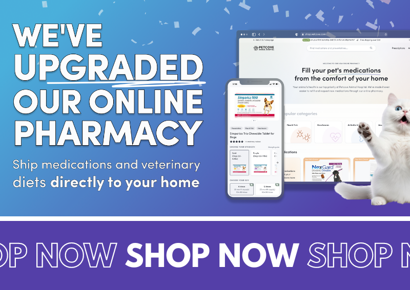 Carousel Slide 10: Check out our online pharmacy!