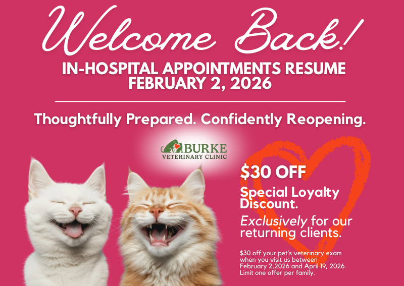 Carousel Slide 1: Learn More >>