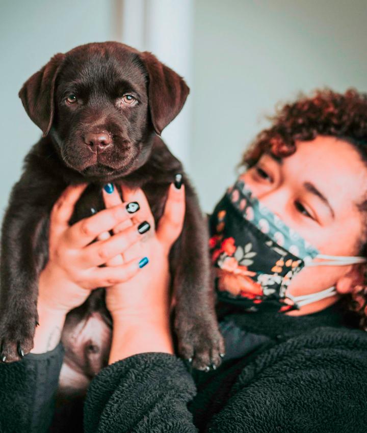 Tamera